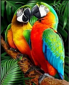 Tucocoo Colorful Parrot Paint by Numbers Kits 16x20inch Canvas DIY Gift Oil Painting for Kids, Students, Adults Beginner with Brushes and Acrylic Pigment-Wildlife Birds Animal Picture(Without Frame)